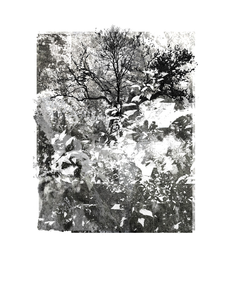 ellen-scobie-garden-of-possibilities-24x30