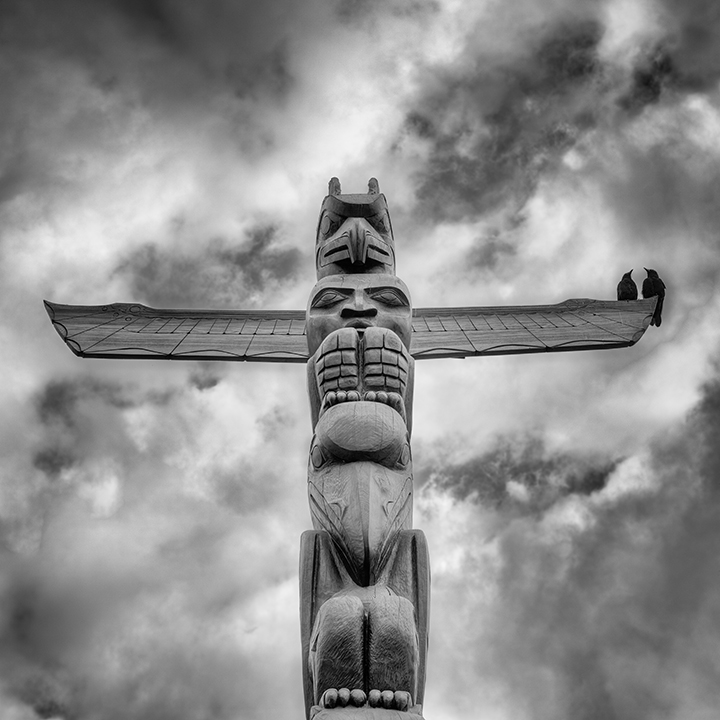 Squamish Totem Pole and Crows, Stanley Park
