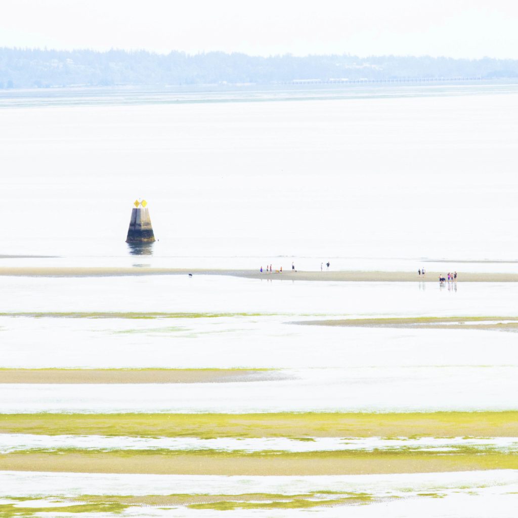 Maple-Buoy-28x28-(1-of-1) copy