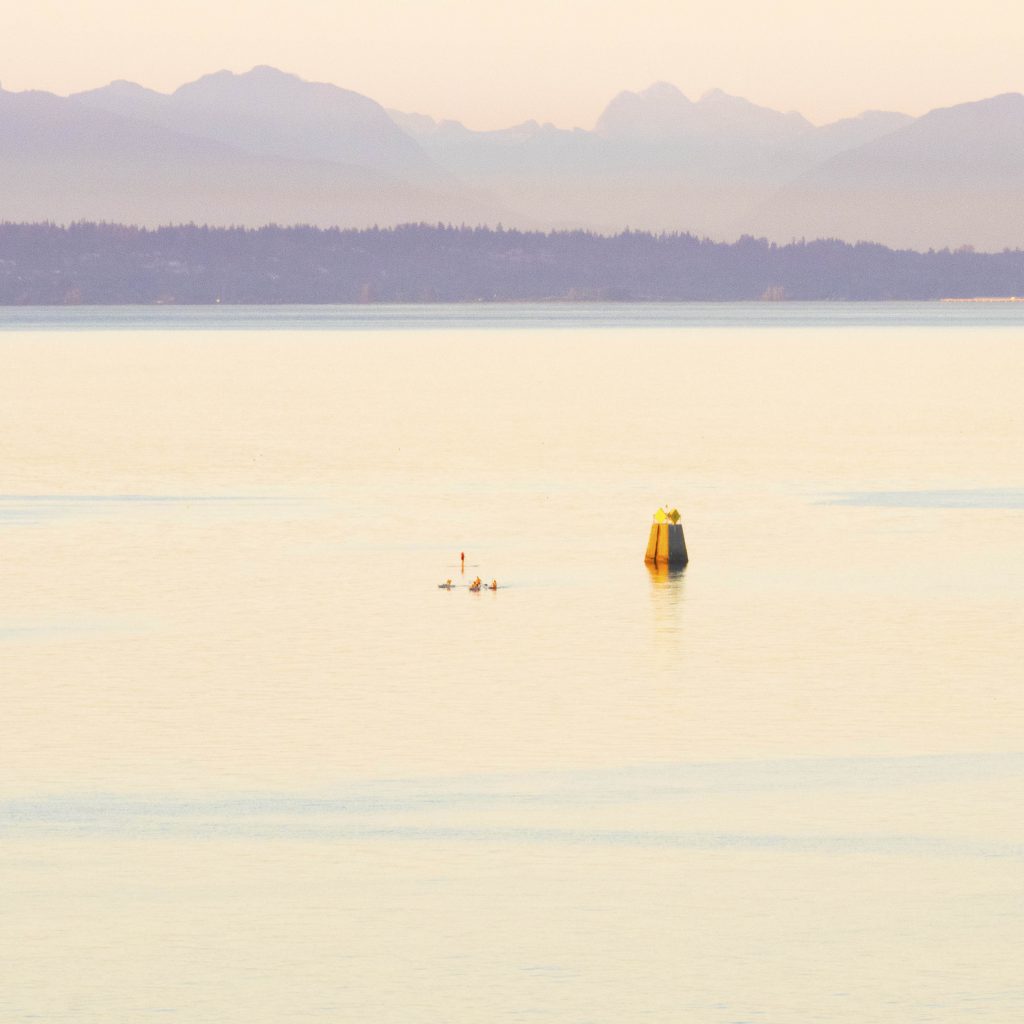 Sunset-Paddlers-28x28-(1-of-1) copy