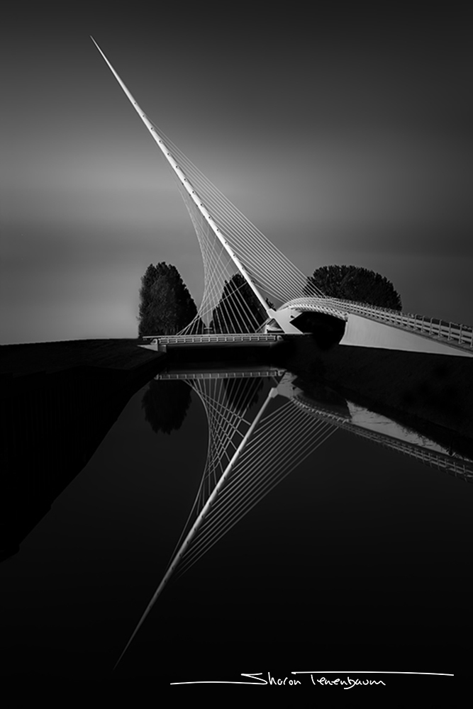 Hoofddorp 02 Lyre Bridge