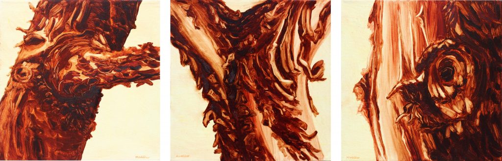Arbutus Bark triptych 12" h x 12"w each, total width 36", oil:canvas, 2012, MWebber
