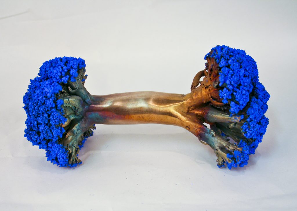 Bombay Sapphire-Bronze Broccoli Barbell Blue Ben Lee 2014