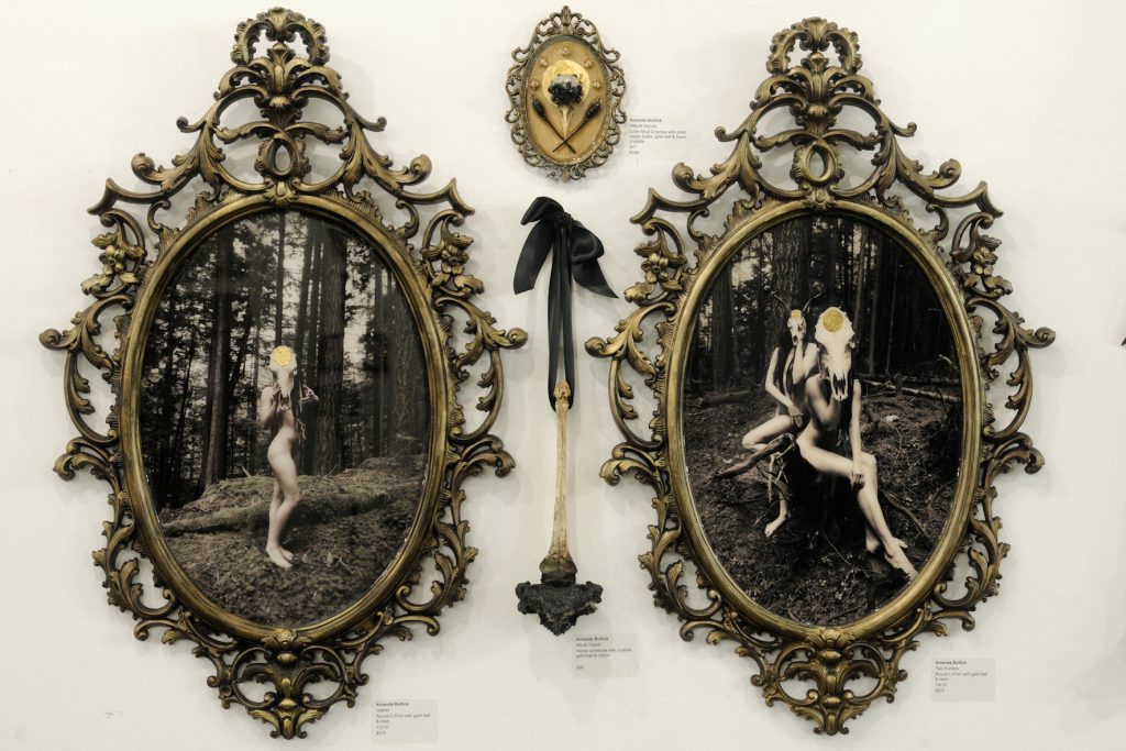BrutallyBeautiful_DSC1703