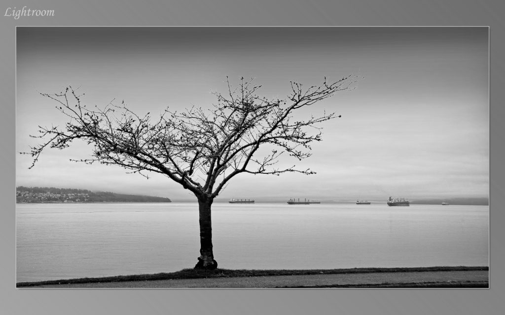 Int DSLR 2009-01