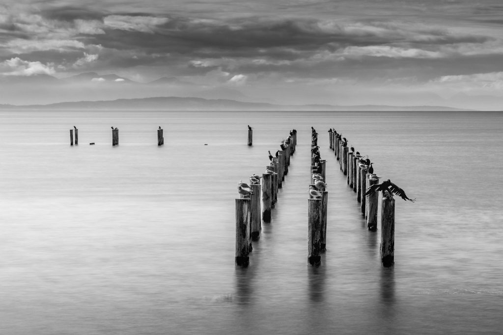 _MGL0137_DxO-2-2