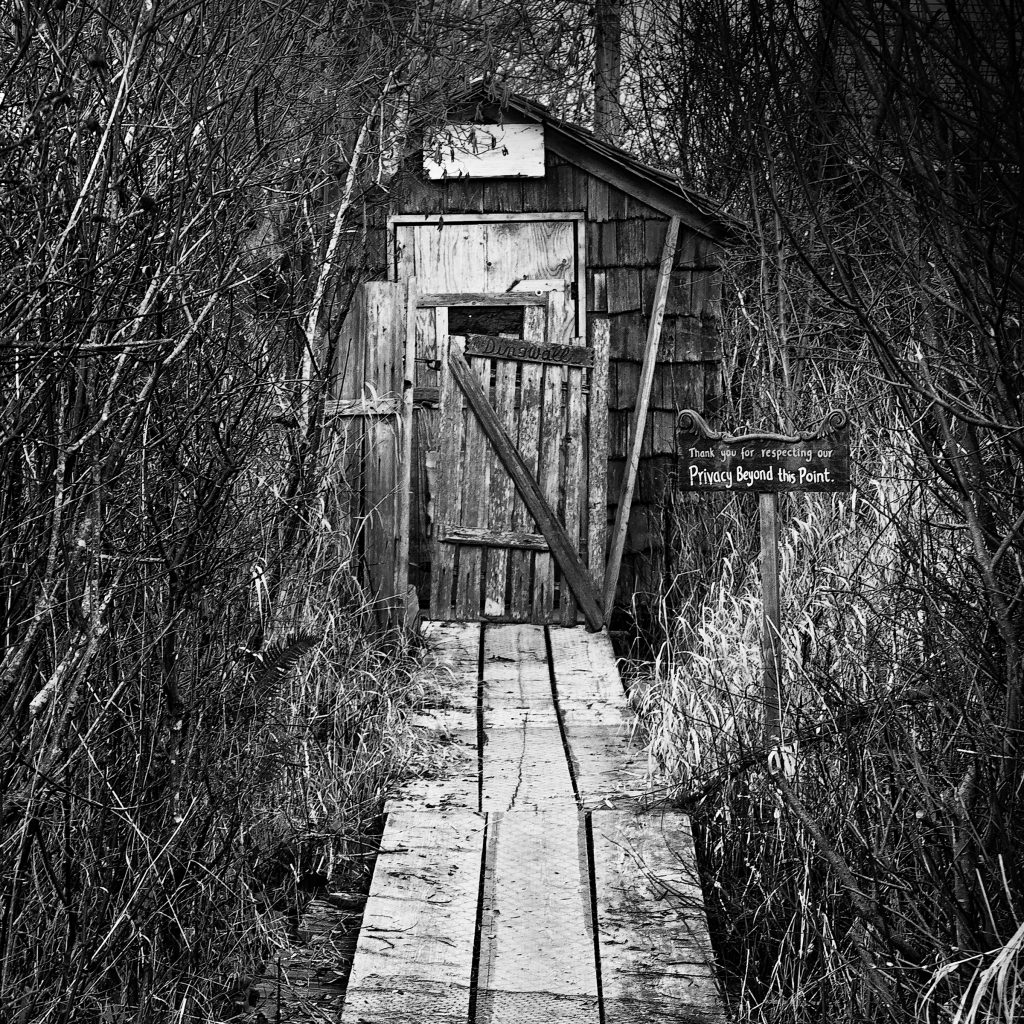 _MG_1590_DxO_raw-Edit-Edit-2 8x8x300
