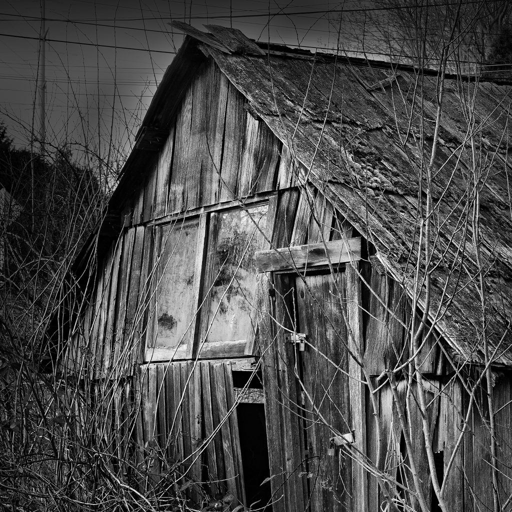 _MG_1593_DxO_raw-Edit^4-2-Edit 8x8x300