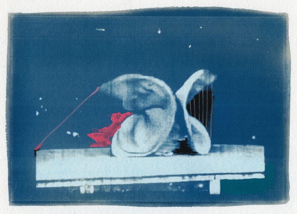 04AT2016Swimming To The Surface
