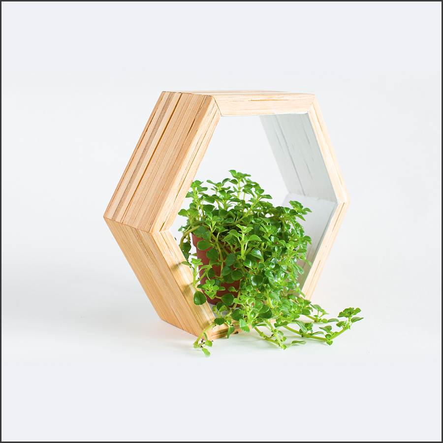 CV-Shelf4
