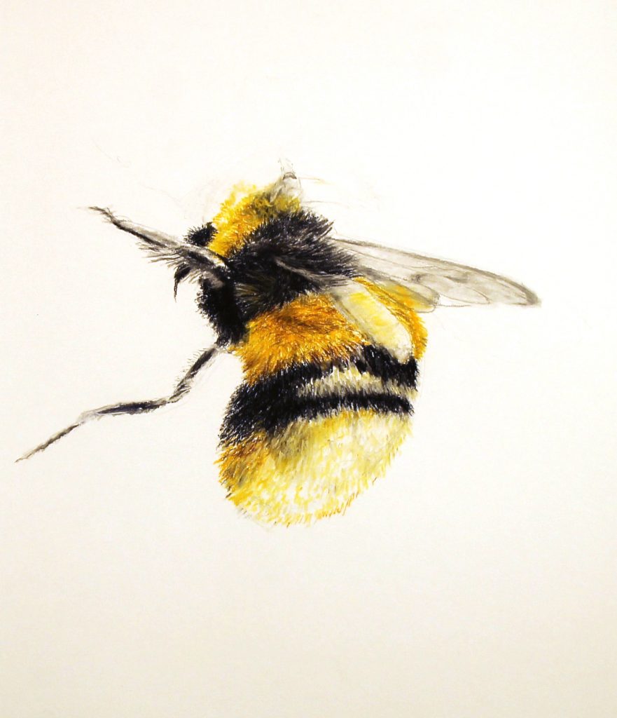 Bee 2 copy