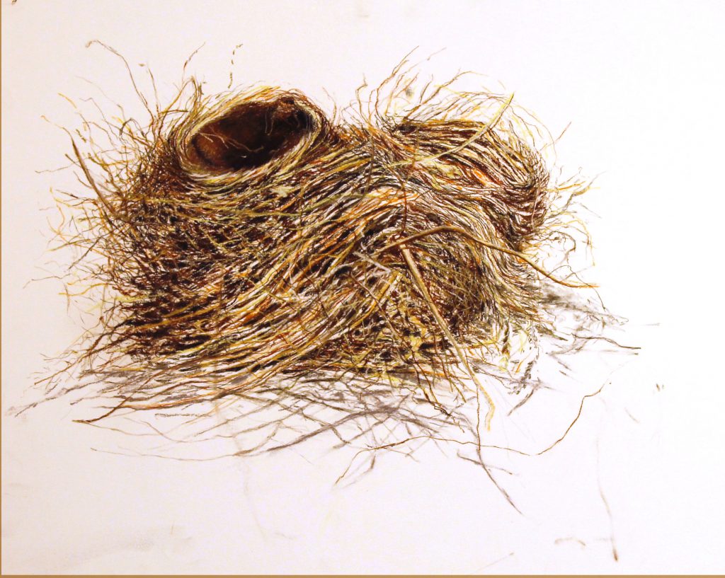 Double nest 1