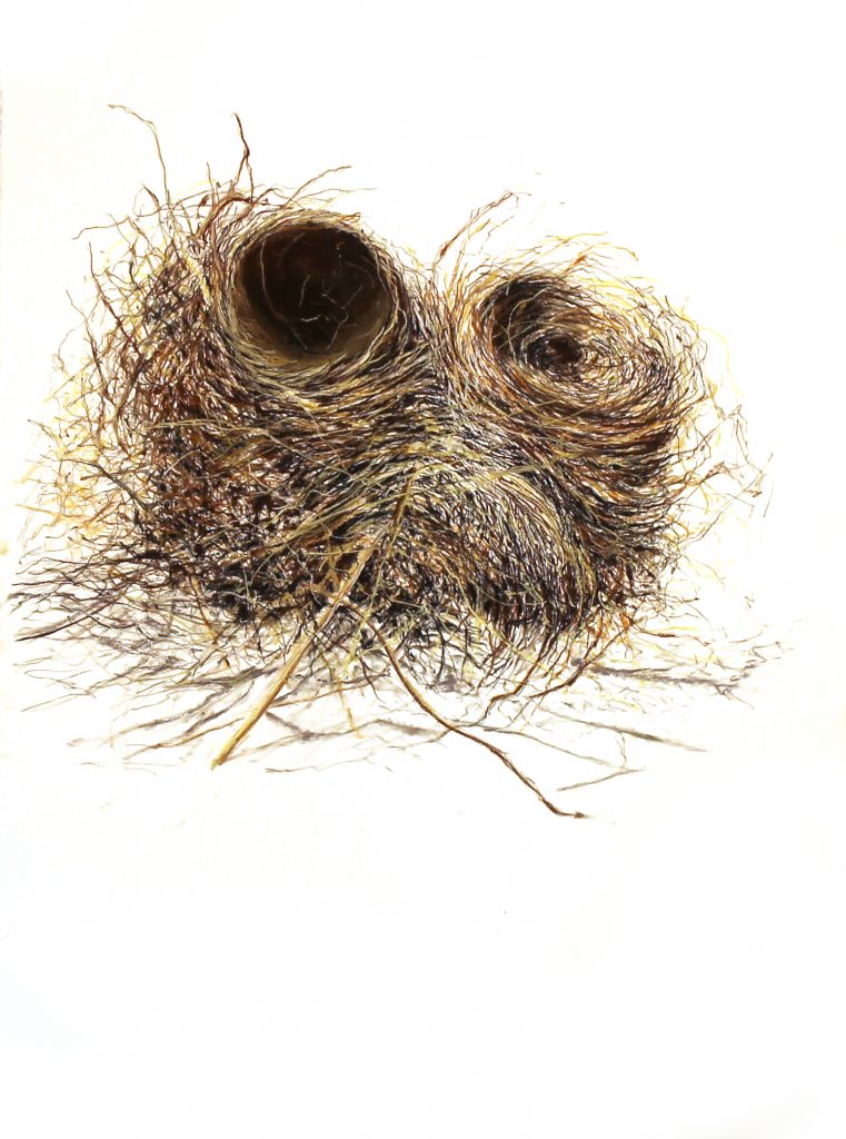 Double nest drawing
