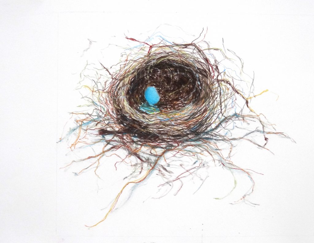 Fragile nest with blue egg