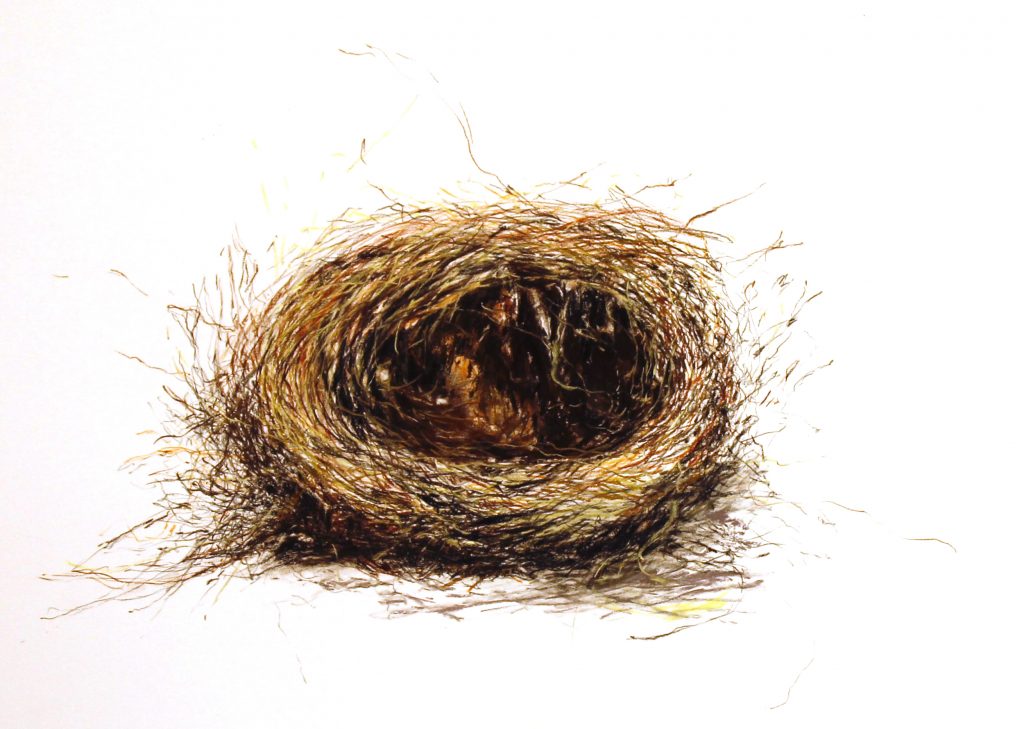 single nest copy