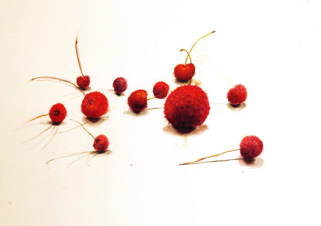 soft berries