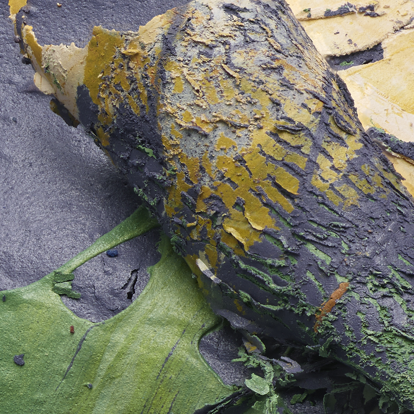 REMNANTS 481 v2_Detail 01