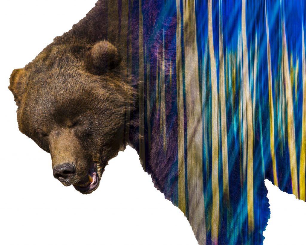 encaustic and cold wax bears (5 of 5)