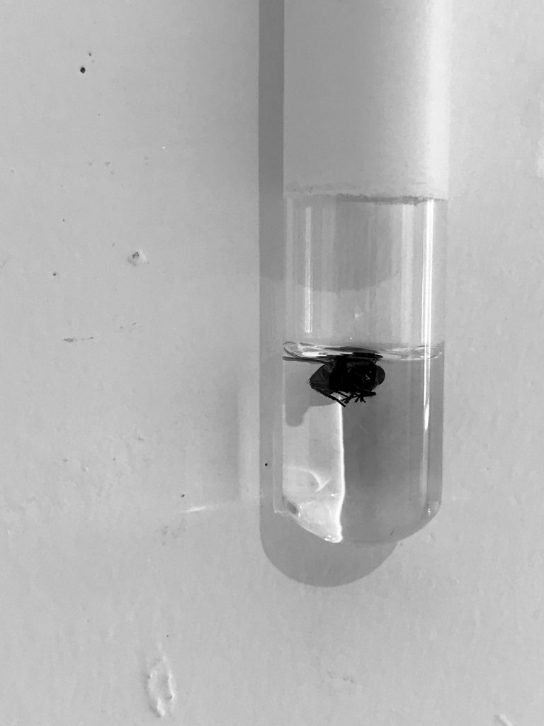 Death Brings Us Closer_3