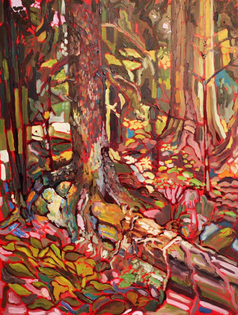 StanleyParkOldGrowth