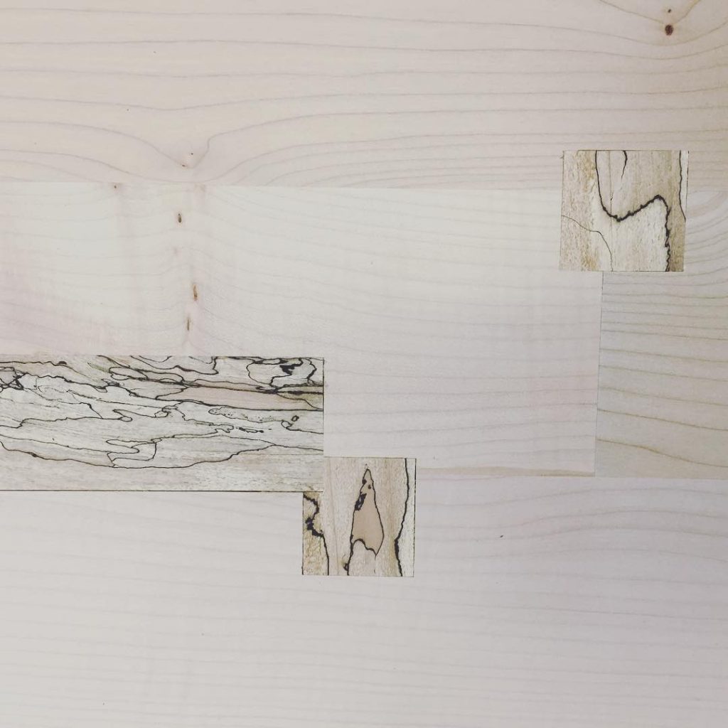 13724629_158652691222581_115165145_n