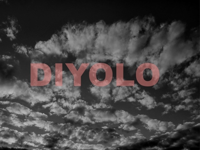 DIYOLO