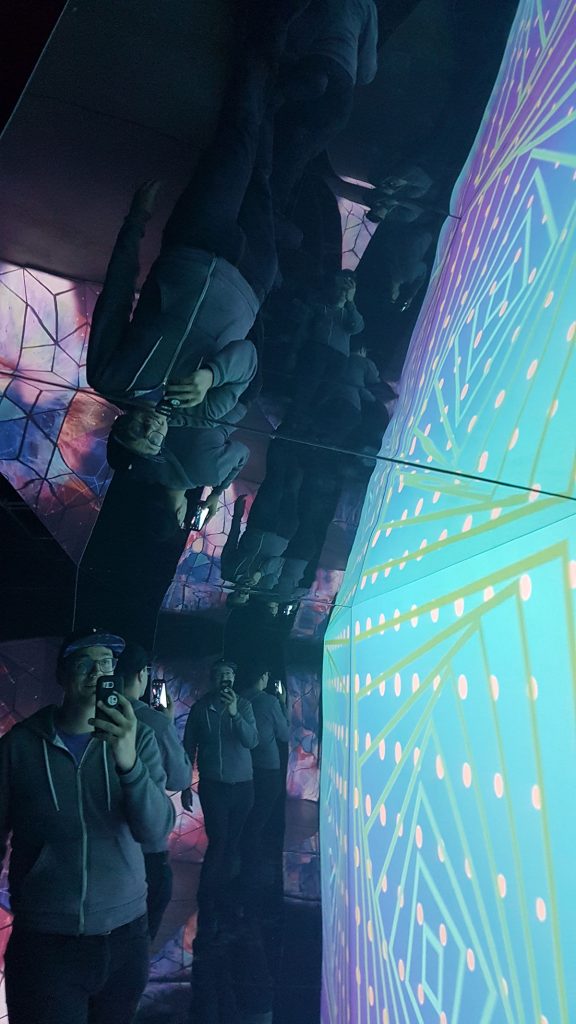 MIrrorWorld_Dumaurier_20170627_204951_web