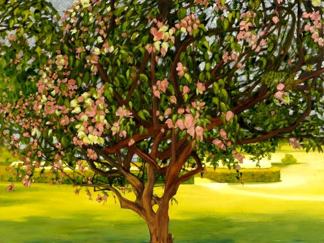 Oil-Bougainvilea Vine