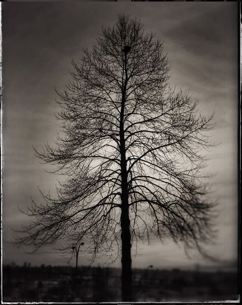 Screen Shot 2018-07-07 at 11