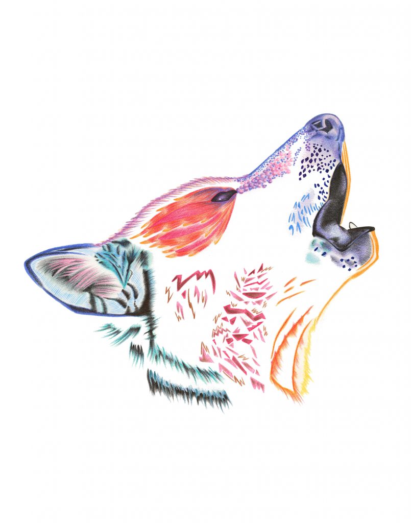 The Wolf TIFF 11 x 14 in