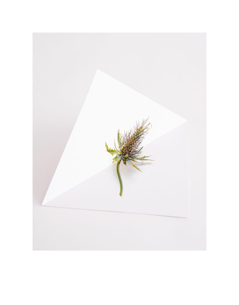 Vancouver-Fine-Art-Photography0001_2357