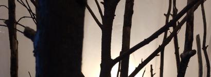 Felde Galen - Plexus -- Interpretive Forest --installation