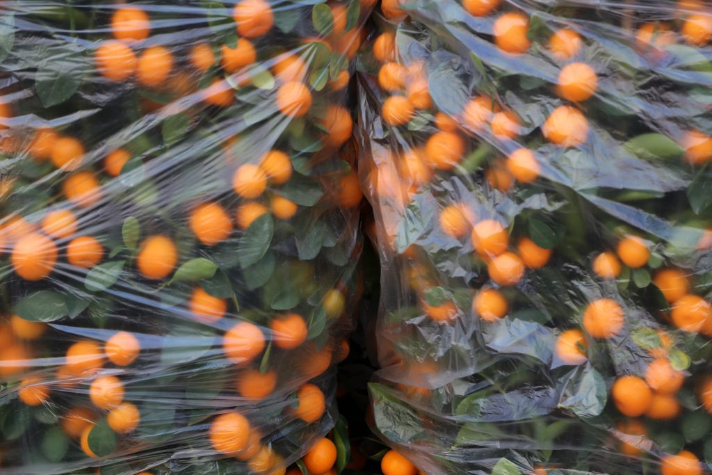 HKG_8292_orangesbagged