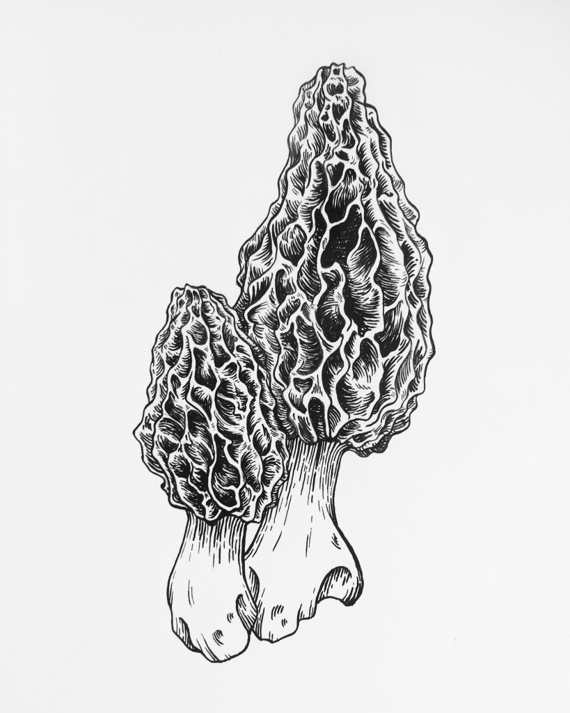 7CE6AF95-6534-477B-A2BE-B31284EE94FC