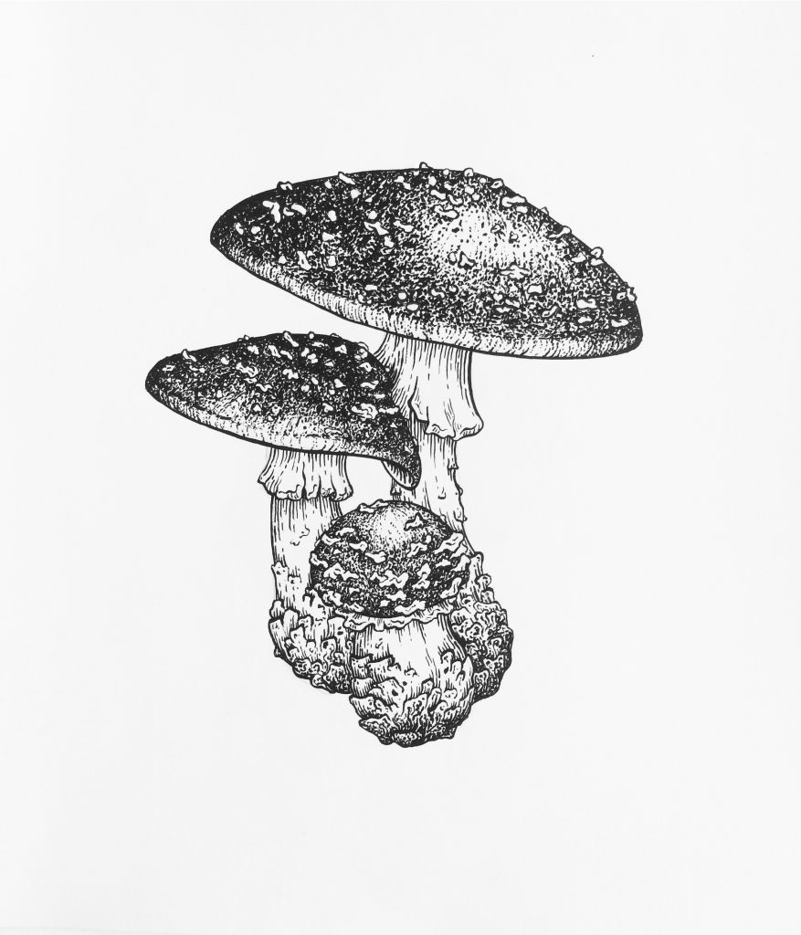 9227E345-E091-40F3-9757-E06F48F199C0