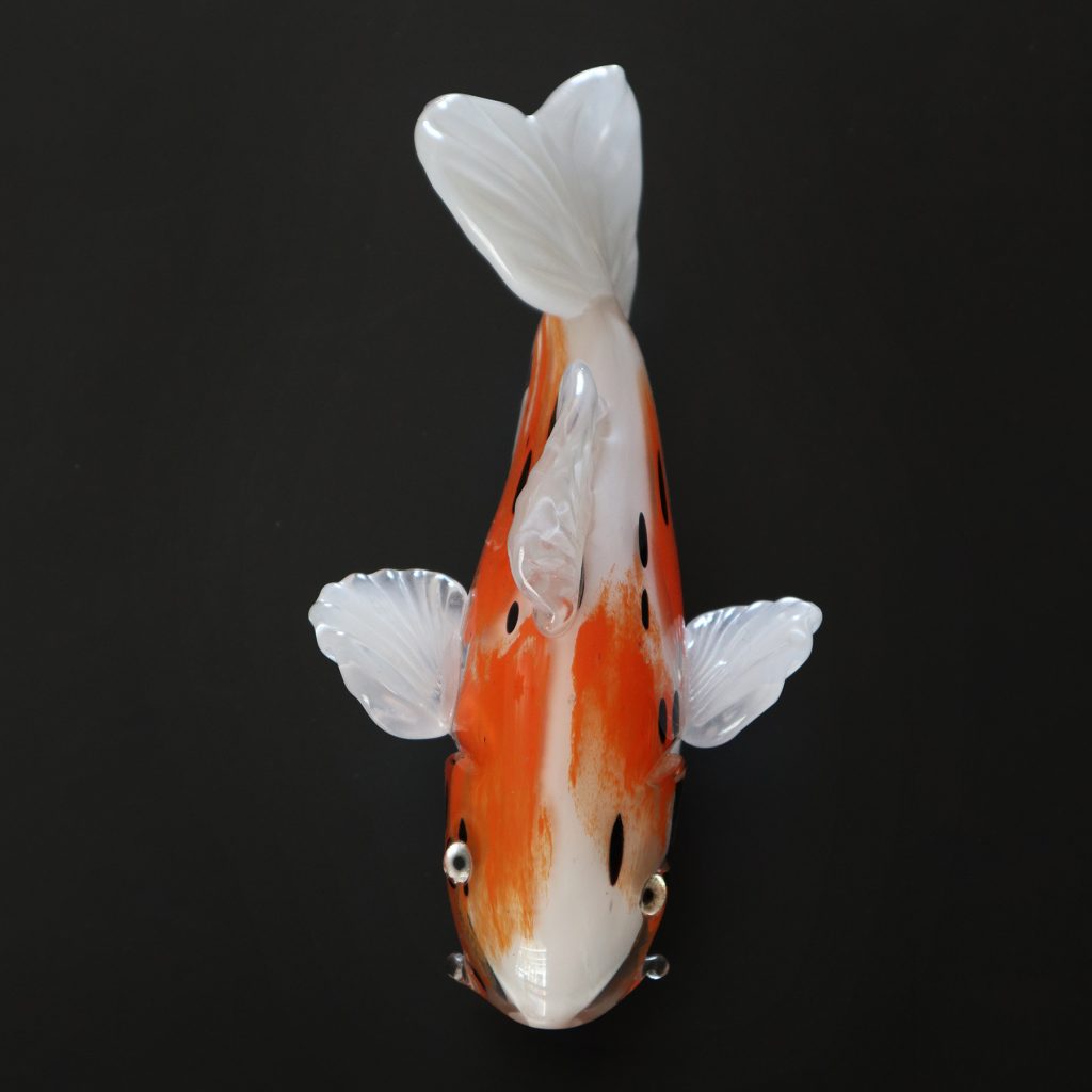 Koi