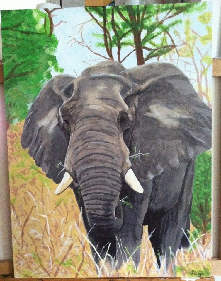 12250050_1654367714845970_3218705621365927728_n