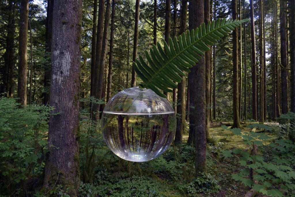 round bud vase full (1500 pixels high)