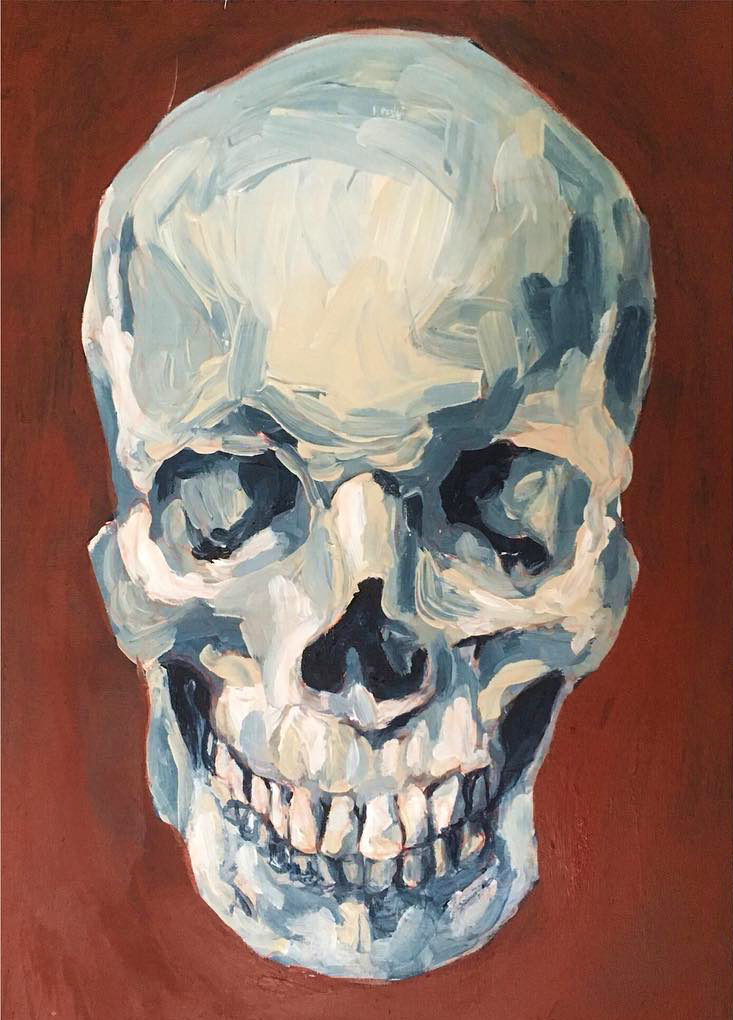 skull study