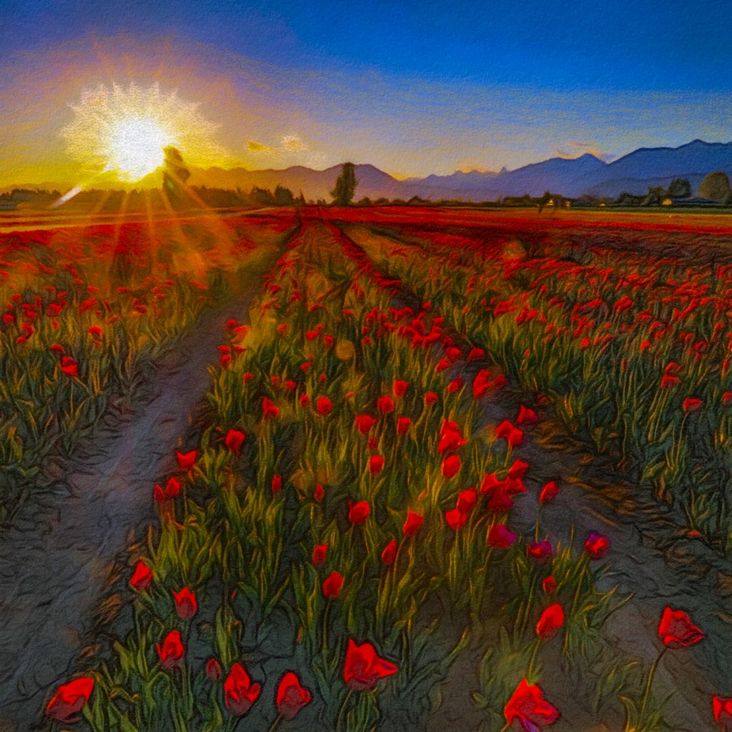 tulips of the valley-1