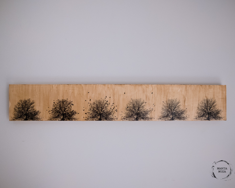 191107_Product Shot_5186