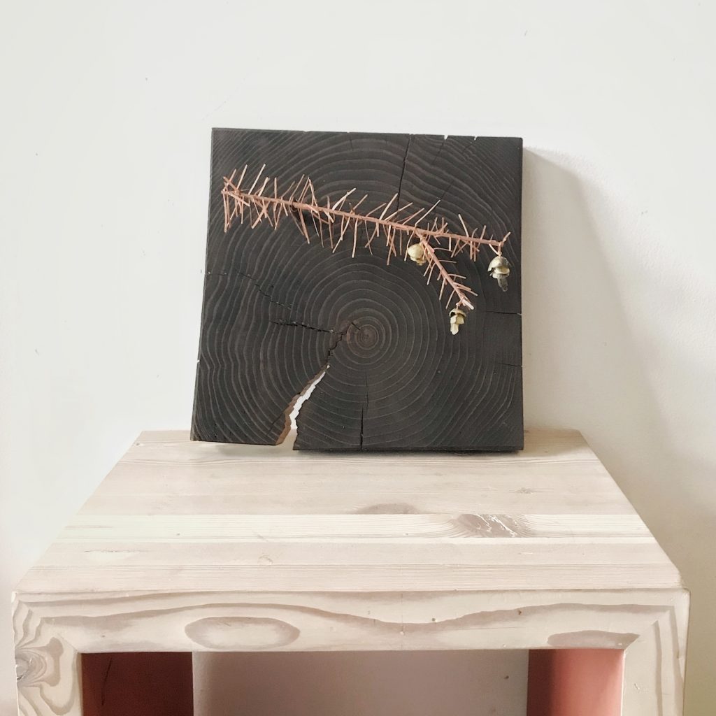 2C34B1E6-24D8-4DD6-96DF-C6FDC2BF5A0F