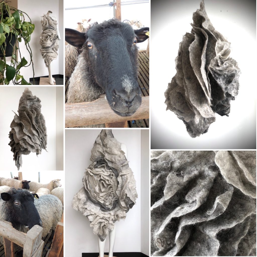 P-Staring POGG and the finns