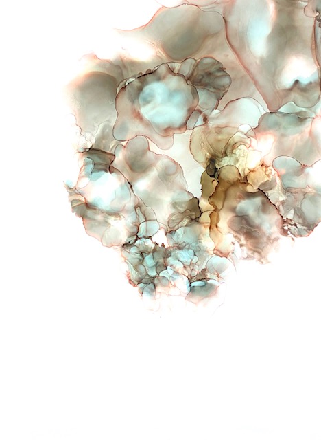 SECRETOS BUSCANDO LA LUZ